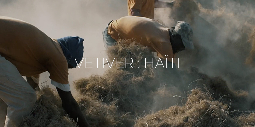 Vetiver : Voyage en Haïti